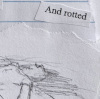 dummy text