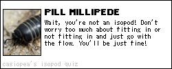 pill millipede: wait, you're not an isopod! don't worry too much about fitting in or not fitting in and just go with the flow. you'll be just fine!